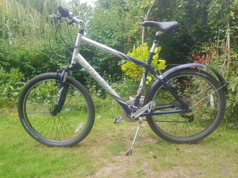 gumtree trek mountain bike